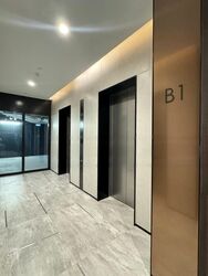 Irwell Hill Residences (D9), Apartment #470392641